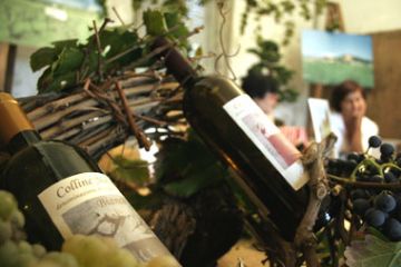 Azienda Agricola Castaldi - Prodotto Tipico (Ft. Simone Loda)
